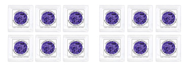 Buy Online Pack of 12 Freeze-dried Culture Sachets for Balkan Style Plain Yogurt